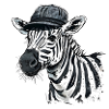 Cute Zebra with Hat