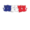 french flag cat french france