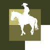 Cowboy Lasso Cowboy Boots