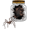 Halloween Spiders Arachnids Spider Phobia