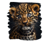 Amur Leopard Amurleoparden Amurleopard