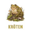Toad Toads Toad