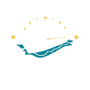 Cruise