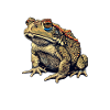 Toad Kröten Kröte