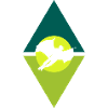 Wingsuit Flying Suit
