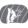 Climbers Tree Climbing