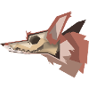 Fox Skull