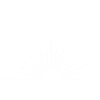 Mamina radost