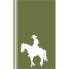Western Rodeo Cowboy
