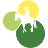 Cowboy Lasso