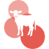 Végétalien