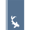 Koi Fish Head