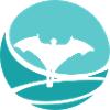 Wingsuit Glider