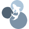 Koi Fisch Fischkopf Fischen