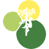 Tree Climbing Climbing Climbers