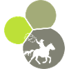 Western Rodeo Lasso