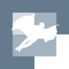 Wingsuit Base Jumping Suit