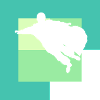 Wingsuit Flying Suit
