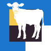 Vegan Bio Tierschutz