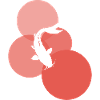 Poisson Koi
