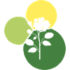 Florist Botanical Horticulture