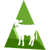 Vegan Fleisch Tierschutz