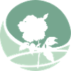 Bouquet Florist
