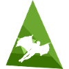 Wingsuit Stuntman