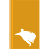 Wingsuit Flying Glider