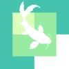 Koi Fisch