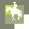 Cowboy Lasso Saddle