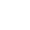 Body By Brisket 4