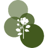 Florist Botanical