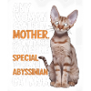 Katze Abessinier Geschenk