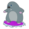 Mole Surfing Surfboard Summer
