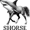 Requin Cheval Cheval