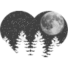 Moonlit Forest Night Scene Design