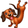 Funny Dachshund Handstand Gymnastics Athlete