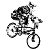 bmx