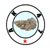 AK 47