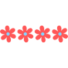 Pink Daisy Flowers