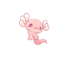 Axolotl