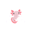 Axolotl