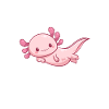 Axolotl