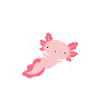 Axolotl