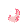Axolotl