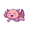 Axolotl