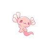 Axolotl