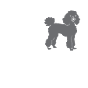 I Have Standards