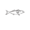 Seafood Lover Gift